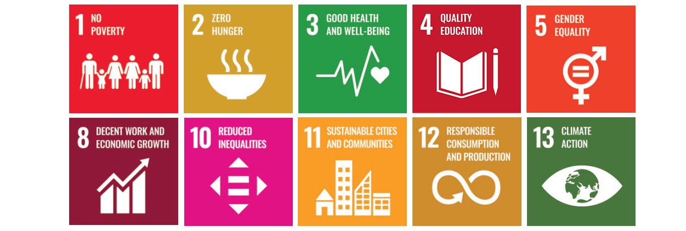 UN developmental goals